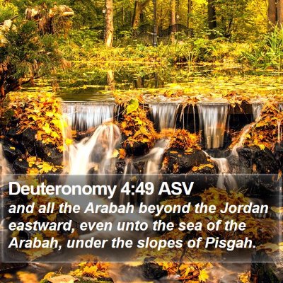 Deuteronomy 4:49 ASV Bible Verse Image