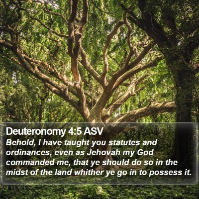 Deuteronomy 4:5 ASV Bible Verse Image