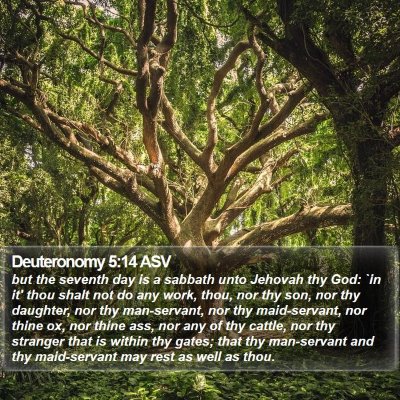 Deuteronomy 5:14 ASV Bible Verse Image