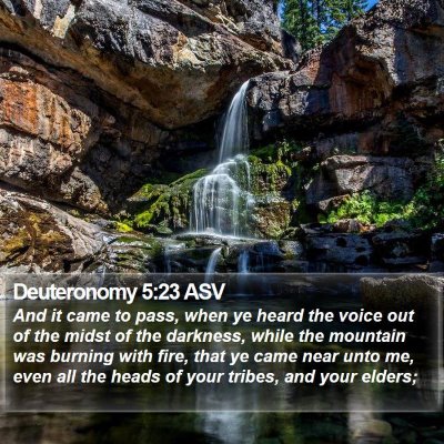 Deuteronomy 5:23 ASV Bible Verse Image
