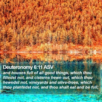 Deuteronomy 6:11 ASV Bible Verse Image