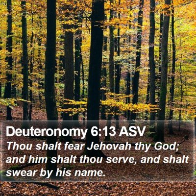 Deuteronomy 6:13 ASV Bible Verse Image