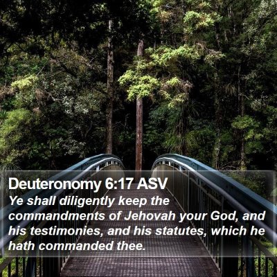 Deuteronomy 6:17 ASV Bible Verse Image