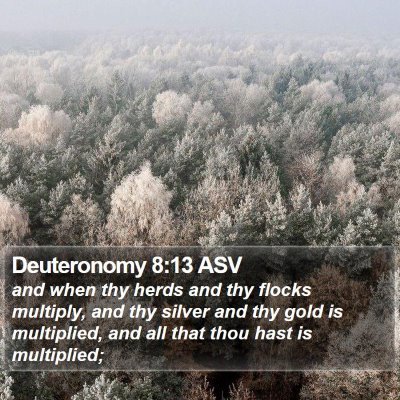 Deuteronomy 8:13 ASV Bible Verse Image