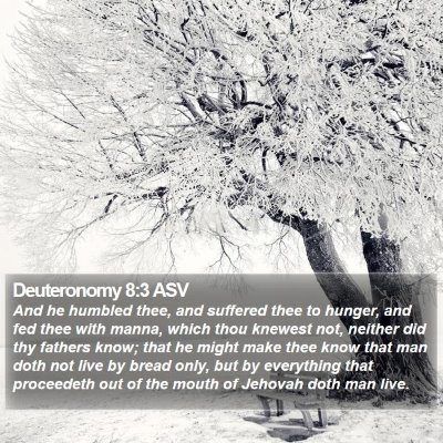 Deuteronomy 8:3 ASV Bible Verse Image