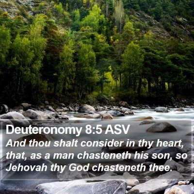 Deuteronomy 8:5 ASV Bible Verse Image