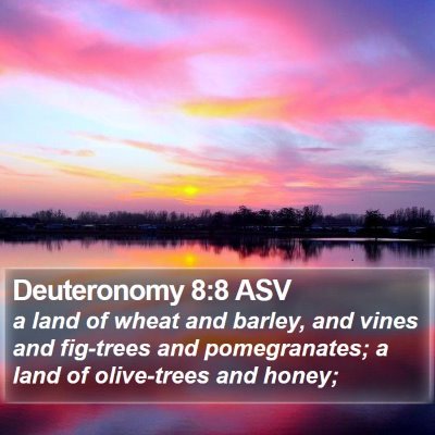 Deuteronomy 8:8 ASV Bible Verse Image