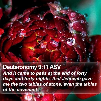 Deuteronomy 9:11 ASV Bible Verse Image
