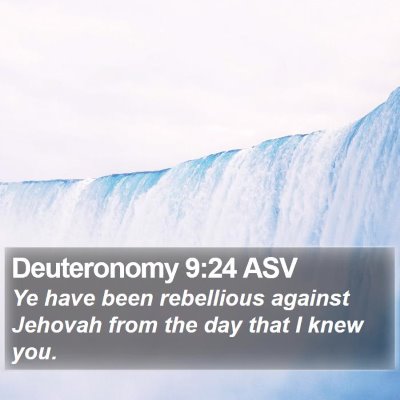 Deuteronomy 9:24 ASV Bible Verse Image