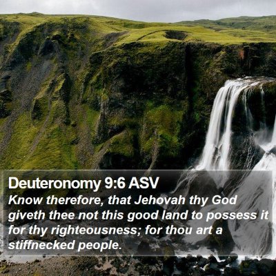 Deuteronomy 9:6 ASV Bible Verse Image