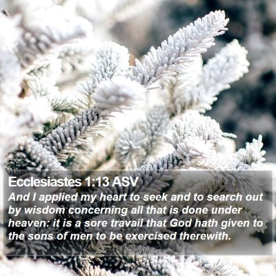 Ecclesiastes 1:13 ASV Bible Verse Image