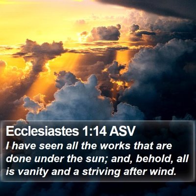 Ecclesiastes 1:14 ASV Bible Verse Image