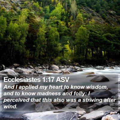 Ecclesiastes 1:17 ASV Bible Verse Image