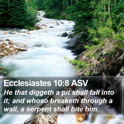 Ecclesiastes 10:8 ASV Bible Verse Image