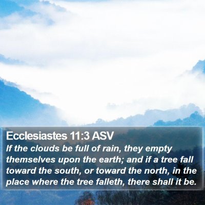 Ecclesiastes 11:3 ASV Bible Verse Image