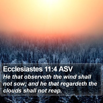 Ecclesiastes 11:4 ASV Bible Verse Image