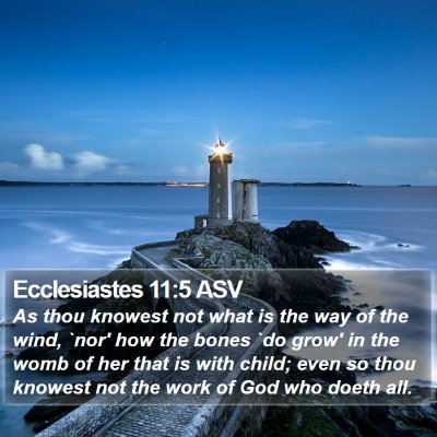 Ecclesiastes 11:5 ASV Bible Verse Image