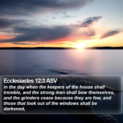 Ecclesiastes 12:3 ASV Bible Verse Image