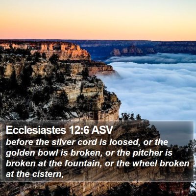 Ecclesiastes 12:6 ASV Bible Verse Image