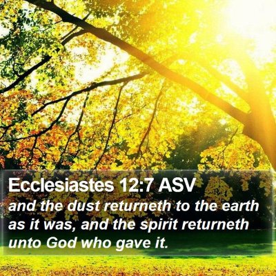 Ecclesiastes 12:7 ASV Bible Verse Image