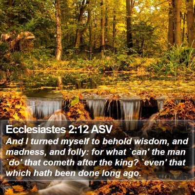 Ecclesiastes 2:12 ASV Bible Verse Image