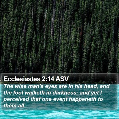 Ecclesiastes 2:14 ASV Bible Verse Image
