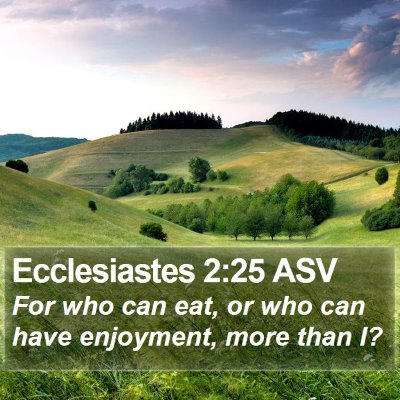 Ecclesiastes 2:25 ASV Bible Verse Image