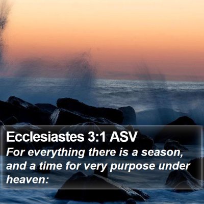 Ecclesiastes 3:1 ASV Bible Verse Image