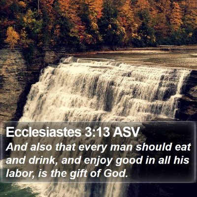 Ecclesiastes 3:13 ASV Bible Verse Image