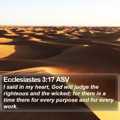 Ecclesiastes 3:17 ASV Bible Verse Image