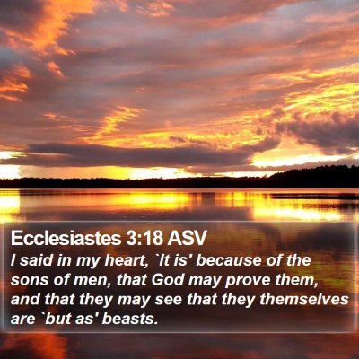 Ecclesiastes 3:18 ASV Bible Verse Image