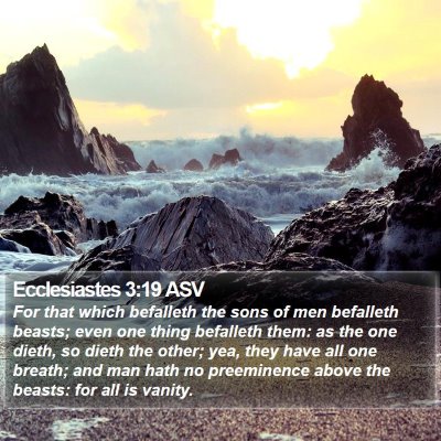 Ecclesiastes 3:19 ASV Bible Verse Image
