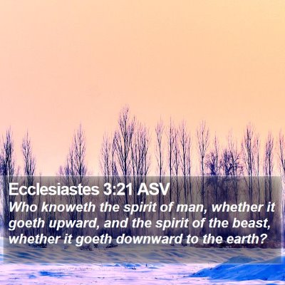 Ecclesiastes 3:21 ASV Bible Verse Image