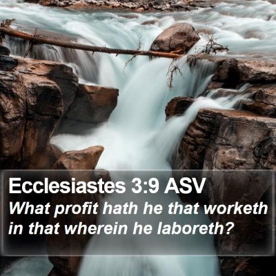 Ecclesiastes 3:9 ASV Bible Verse Image