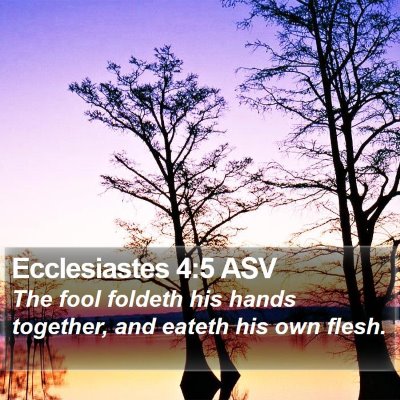 Ecclesiastes 4:5 ASV Bible Verse Image
