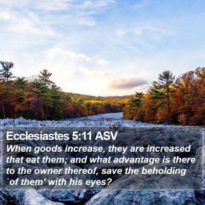 Ecclesiastes 5:11 ASV Bible Verse Image