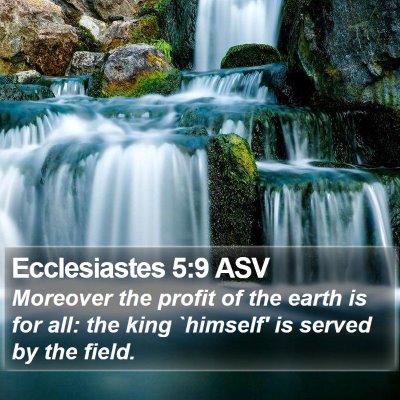 Ecclesiastes 5:9 ASV Bible Verse Image