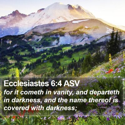 Ecclesiastes 6:4 ASV Bible Verse Image