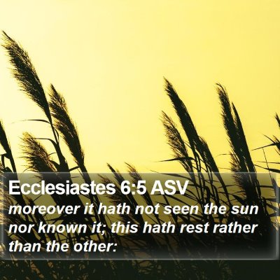 Ecclesiastes 6:5 ASV Bible Verse Image
