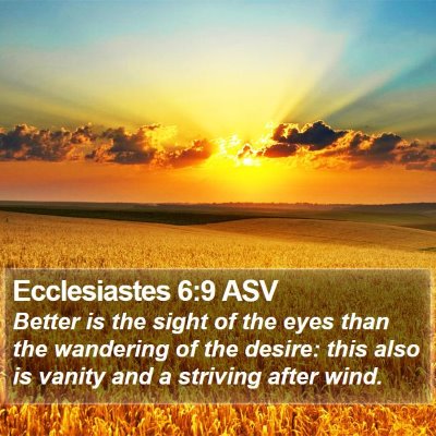 Ecclesiastes 6:9 ASV Bible Verse Image