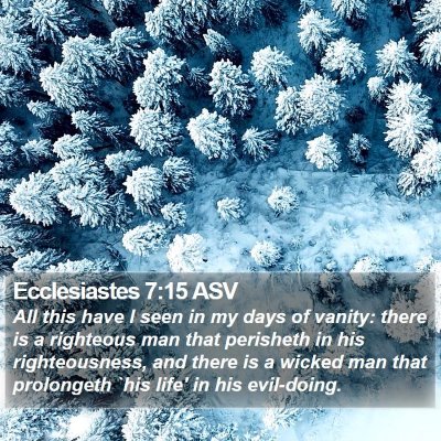 Ecclesiastes 7:15 ASV Bible Verse Image