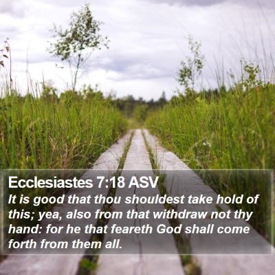 Ecclesiastes 7:18 ASV Bible Verse Image