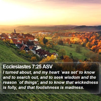Ecclesiastes 7:25 ASV Bible Verse Image