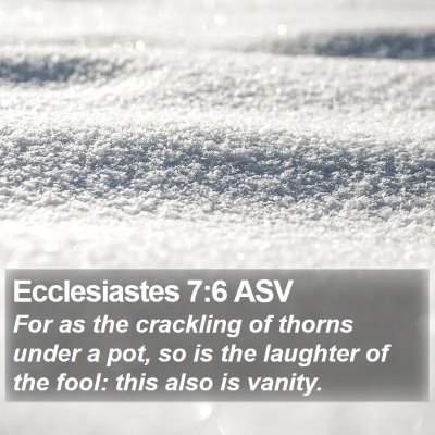 Ecclesiastes 7:6 ASV Bible Verse Image