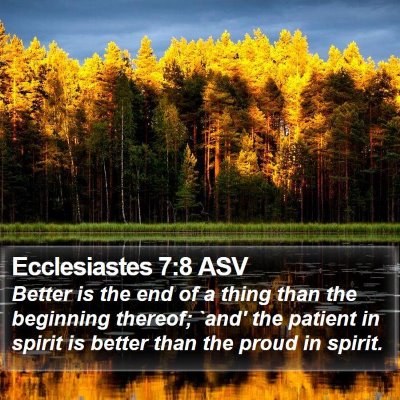 Ecclesiastes 7:8 ASV Bible Verse Image