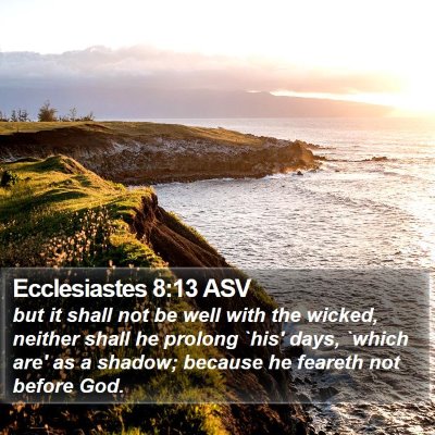 Ecclesiastes 8:13 ASV Bible Verse Image