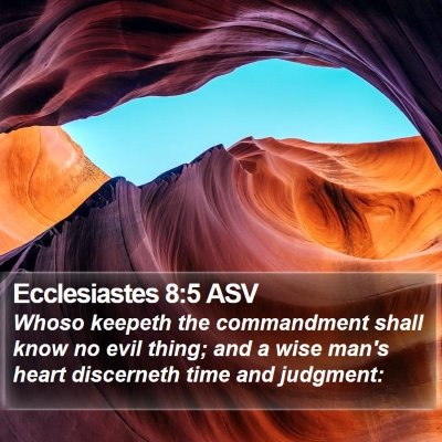 Ecclesiastes 8:5 ASV Bible Verse Image