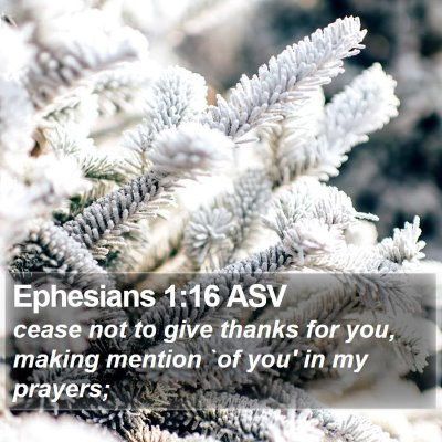 Ephesians 1:16 ASV Bible Verse Image