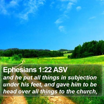 Ephesians 1:22 ASV Bible Verse Image
