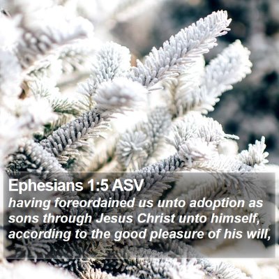 Ephesians 1:5 ASV Bible Verse Image